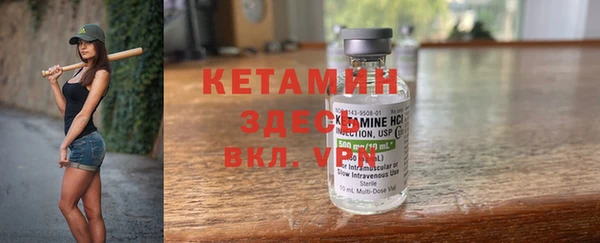 индика Верея