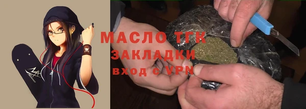 индика Верея