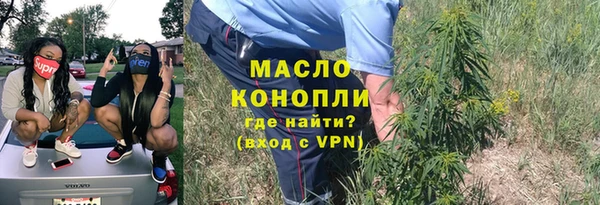 индика Верея