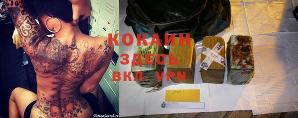 индика Верея